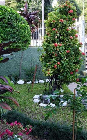 Apartamento à venda com 34m², 1 quarto e sem vaga Apartamento à venda com 34m², 1 quarto e sem vagaJardim