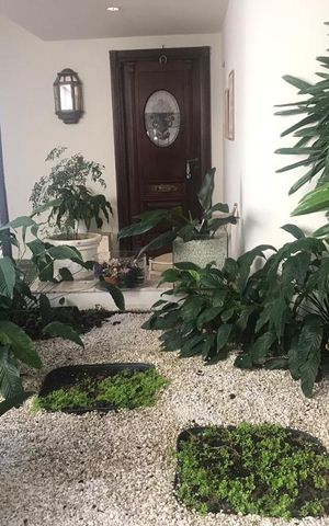 Casa à venda com 700m², 4 quartos e 3 vagas Casa à venda com 700m², 4 quartos e 3 vagasQuintal