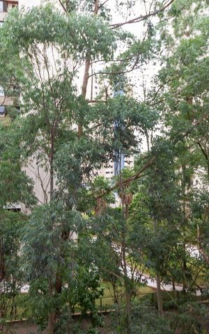 Apartamento para alugar com 49m², 1 quarto e 1 vagaVista