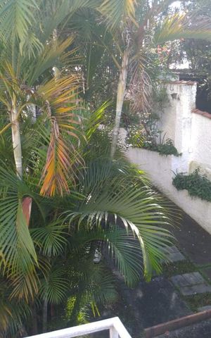 Casa à venda com 300m², 3 quartos e 8 vagas Casa à venda com 300m², 3 quartos e 8 vagasQuintal