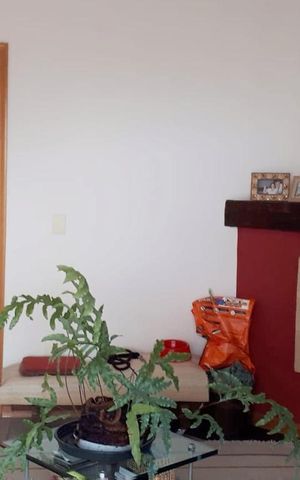 Apartamento à venda com 220m², 4 quartos e sem vagaLareira