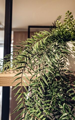 Studio para alugar com 30m², 1 quarto e 1 vagaDetalhe
