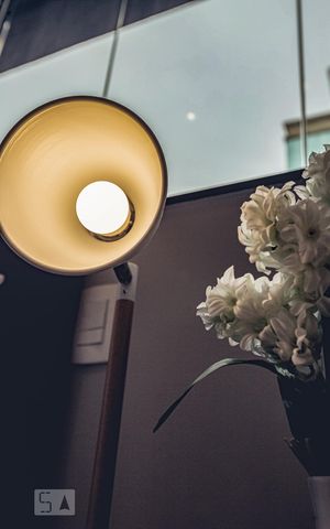 Studio para alugar com 30m², 1 quarto e 1 vagaSuíte 