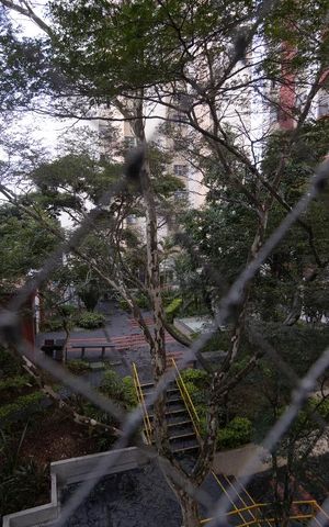 Apartamento à venda com 65m², 3 quartos e 1 vaga Apartamento à venda com 65m², 3 quartos e 1 vagaVista Quarto 2