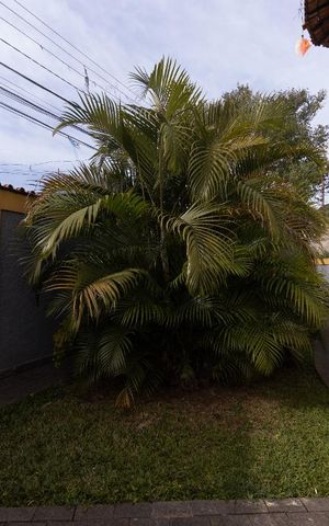 Casa à venda com 500m², 4 quartos e 8 vagas Casa à venda com 500m², 4 quartos e 8 vagasÁrea de Serviço