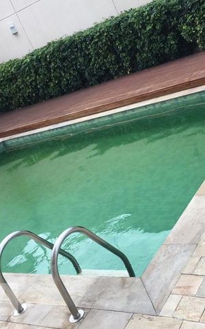 Apartamento à venda com 46m², 2 quartos e 1 vaga Apartamento à venda com 46m², 2 quartos e 1 vagaÁrea comum - Piscina
