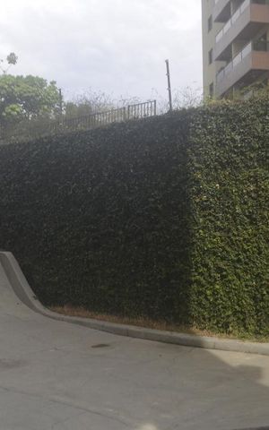 Apartamento à venda com 120m², 3 quartos e 2 vagasPista Skate