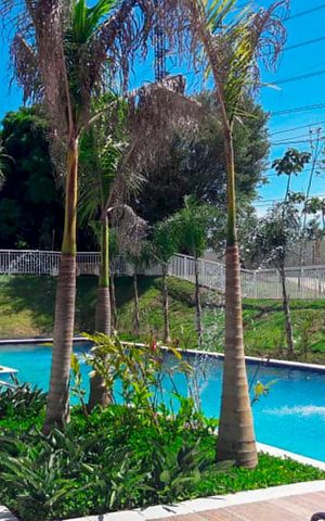 Apartamento à venda com 60m², 2 quartos e 1 vaga Apartamento à venda com 60m², 2 quartos e 1 vagaPiscina