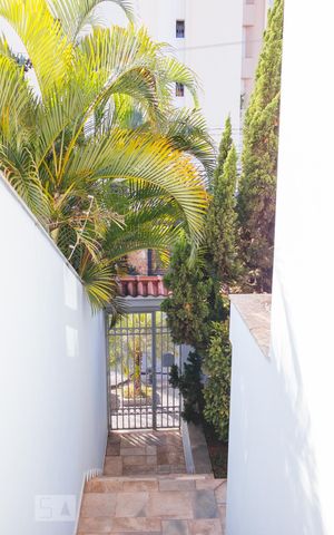 Casa para alugar com 265m², 4 quartos e 3 vagasÁrea Externa