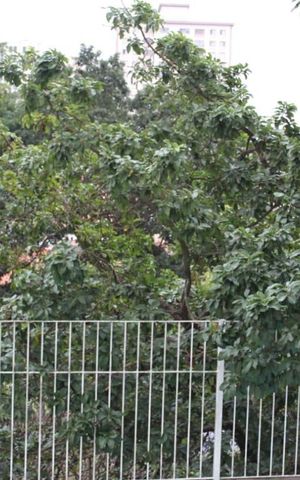 Apartamento à venda com 60m², 2 quartos e 1 vaga Apartamento à venda com 60m², 2 quartos e 1 vagaÁrea comum