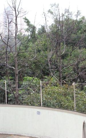 Apartamento à venda com 60m², 2 quartos e 1 vaga Apartamento à venda com 60m², 2 quartos e 1 vagaÁrea comum