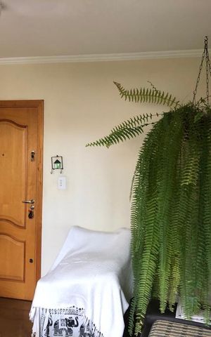 Apartamento à venda com 100m², 2 quartos e 1 vagaSala