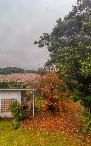 Casa para alugar com 270m², 5 quartos e 4 vagas Casa para alugar com 270m², 5 quartos e 4 vagasVista da Sala de Jantar
