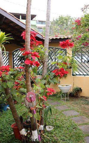 Casa à venda com 75m², 2 quartos e sem vagaEntrada