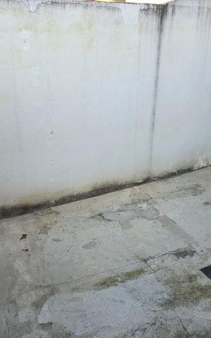 Casa para alugar com 80m², 1 quarto e sem vaga Casa para alugar com 80m², 1 quarto e sem vagaQuintal
