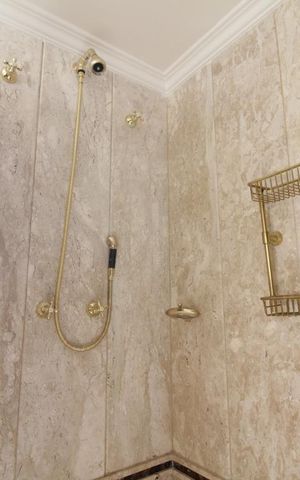 Apartamento à venda com 368m², 3 quartos e 4 vagasChuveiro