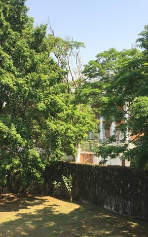 Casa à venda com 600m², 4 quartos e 6 vagasVista suite 1