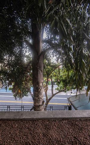 Apartamento à venda com 75m², 3 quartos e 1 vagaVista Quarto 1