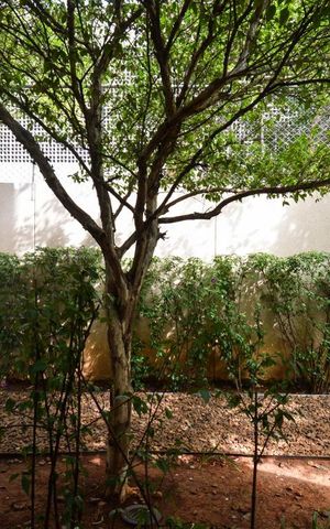 Apartamento para alugar com 45m², 1 quarto e 2 vagasVista
