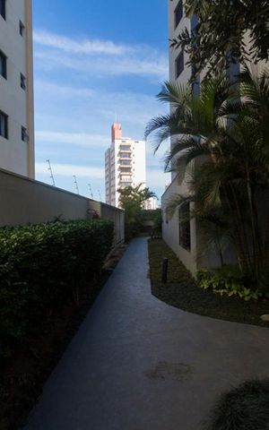 Apartamento para alugar com 45m², 1 quarto e 1 vagaPista de corrida