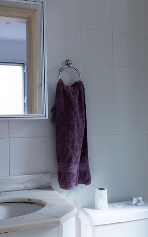 Apartamento à venda com 67m², 3 quartos e 1 vagaBanheiro da Suíte