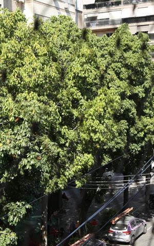 Apartamento à venda com 93m², 2 quartos e 1 vagaVista da Sala