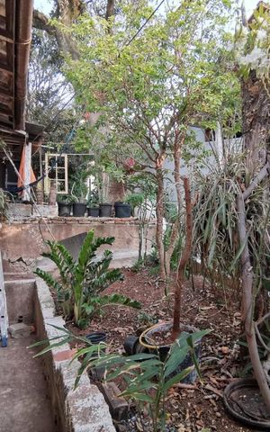 Casa para alugar com 90m², 2 quartos e 1 vaga Casa para alugar com 90m², 2 quartos e 1 vagaQuintal