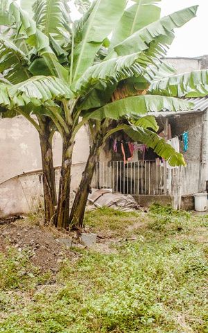 Casa à venda com 300m², 4 quartos e 3 vagasTerreno Fundos