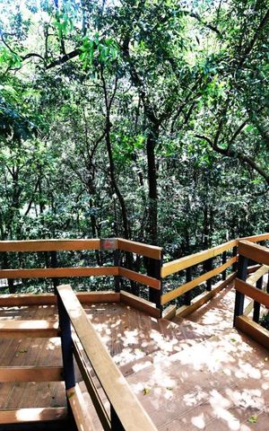 Apartamento à venda com 51m², 1 quarto e 1 vaga Apartamento à venda com 51m², 1 quarto e 1 vagabosque