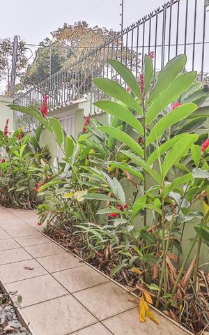 Casa à venda com 360m², 5 quartos e 5 vagas Casa à venda com 360m², 5 quartos e 5 vagasVaranda de Entrada