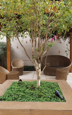 Apartamento para alugar com 60m², 2 quartos e 1 vaga Apartamento para alugar com 60m², 2 quartos e 1 vagaÁrea comum