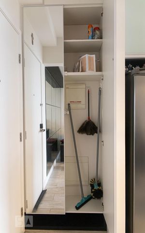 Apartamento para alugar com 60m², 2 quartos e 1 vagaArmário