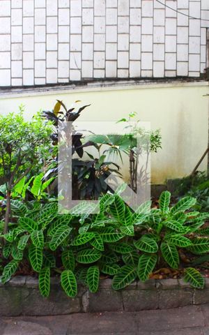Casa à venda com 210m², 5 quartos e 2 vagasJardim