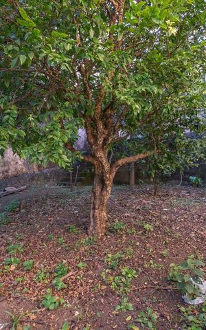 Casa à venda com 320m², 4 quartos e 2 vagasPomar