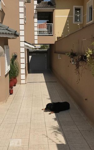 Casa à venda com 300m², 4 quartos e 4 vagasQuintal