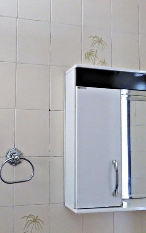 Casa para alugar com 100m², 2 quartos e sem vagaDetalhe banheiro