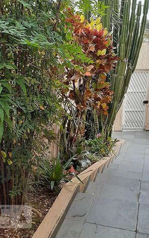 Casa para alugar com 340m², 4 quartos e 4 vagasÁrea Externa