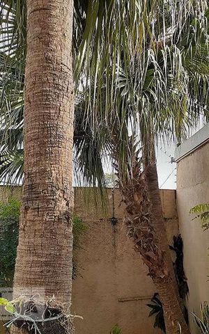 Casa para alugar com 340m², 4 quartos e 4 vagasÁrea Externa