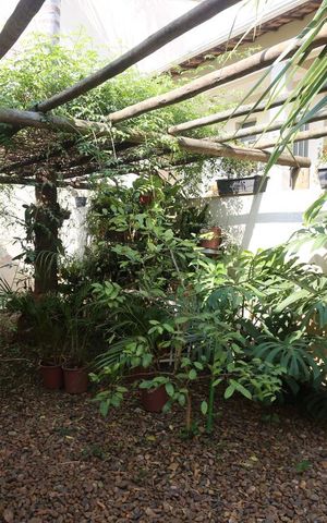 Casa à venda com 600m², 5 quartos e 8 vagasJardim