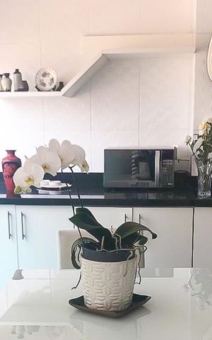 Apartamento à venda com 37m², 1 quarto e 1 vaga Apartamento à venda com 37m², 1 quarto e 1 vagaStudio