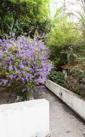 Casa para alugar com 750m², 4 quartos e 8 vagasAcesso ao Jardim