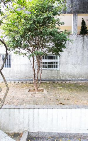 Casa para alugar com 750m², 4 quartos e 8 vagasÁrea Externa dos Fundos