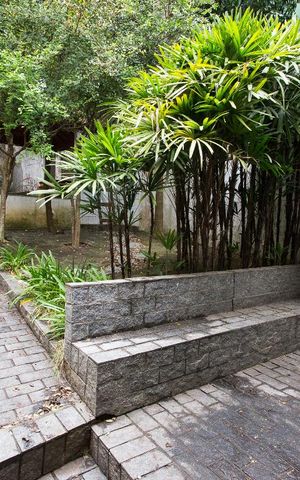 Casa para alugar com 750m², 4 quartos e 8 vagasÁrea Externa dos Fundos