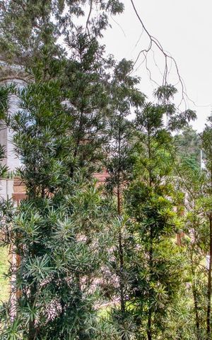 Casa de condomínio à venda com 400m², 4 quartos e 6 vagas Casa de condomínio à venda com 400m², 4 quartos e 6 vagasVista da Sacada da Suíte 4