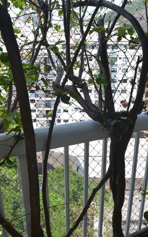 Apartamento à venda com 170m², 4 quartos e 2 vagasQuarto 4