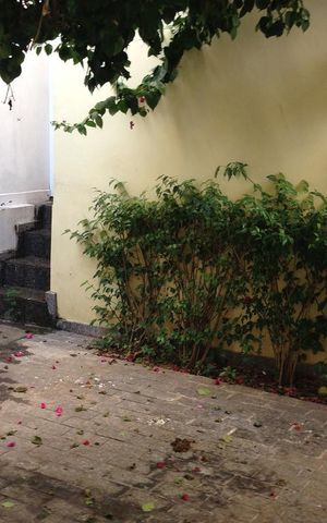 Casa à venda com 250m², 4 quartos e 4 vagasGaragem
