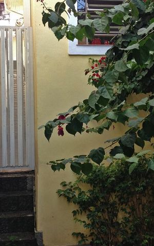 Casa à venda com 250m², 4 quartos e 4 vagasQuintal
