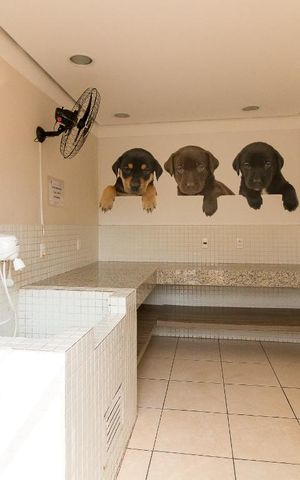 Apartamento à venda com 60m², 3 quartos e 1 vagaPet care