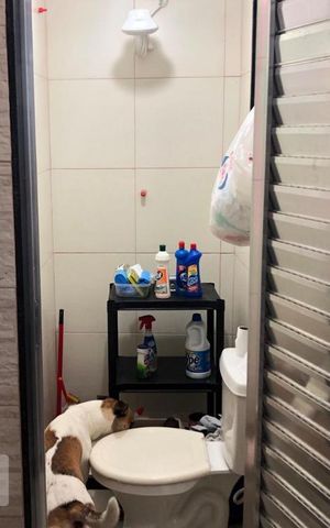 Apartamento para alugar com 90m², 2 quartos e sem vaga Apartamento para alugar com 90m², 2 quartos e sem vagaBanheiro de Serviço