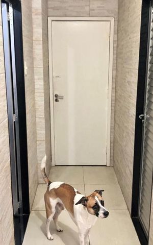 Apartamento para alugar com 90m², 2 quartos e sem vaga Apartamento para alugar com 90m², 2 quartos e sem vagaÁrea de Serviço